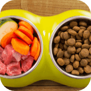 Top 10 Home made Dog food