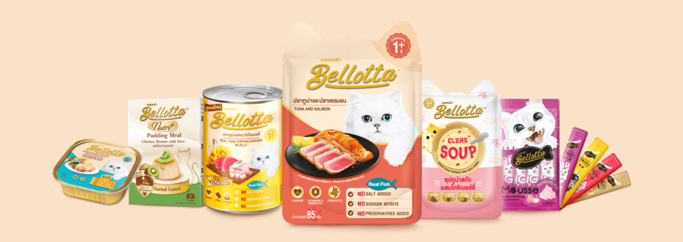 Bellotta store cat food